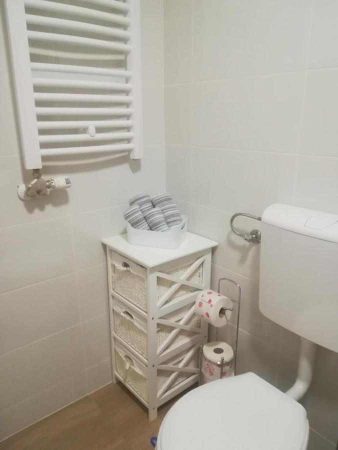 Carmen Deluxe Apartment Novi Sad Bagian luar foto